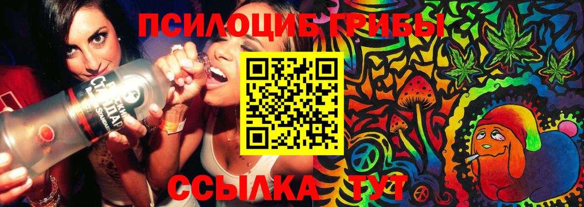 Псилоцибиновые грибы Cubensis Южноуральск